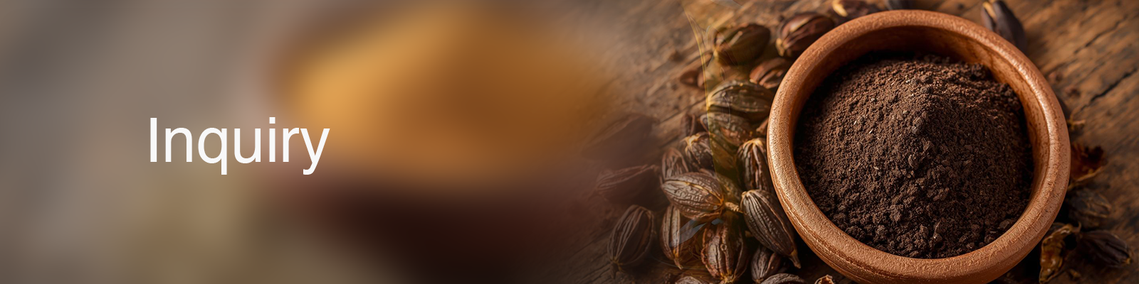 Banner 1